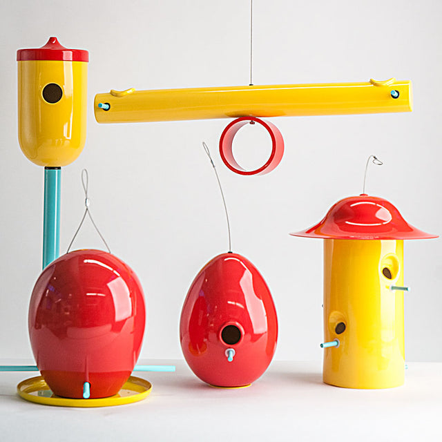 Special Editions in Primary
