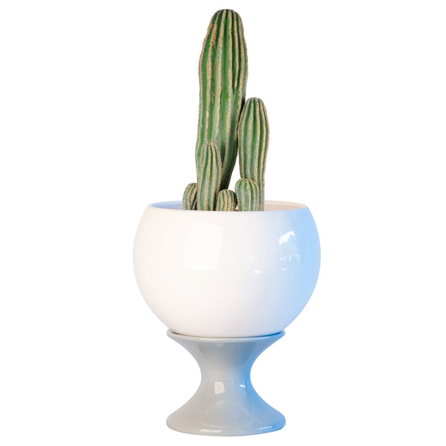Planters