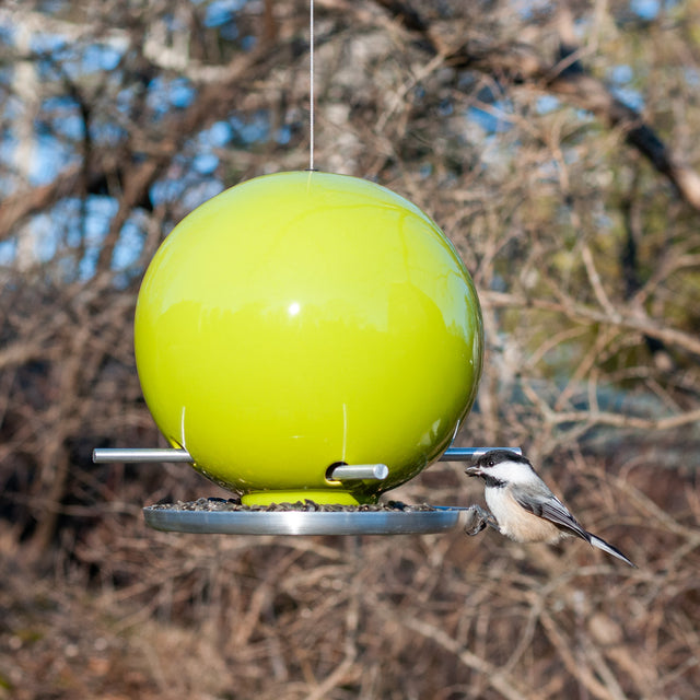 Pop Bird Feeders