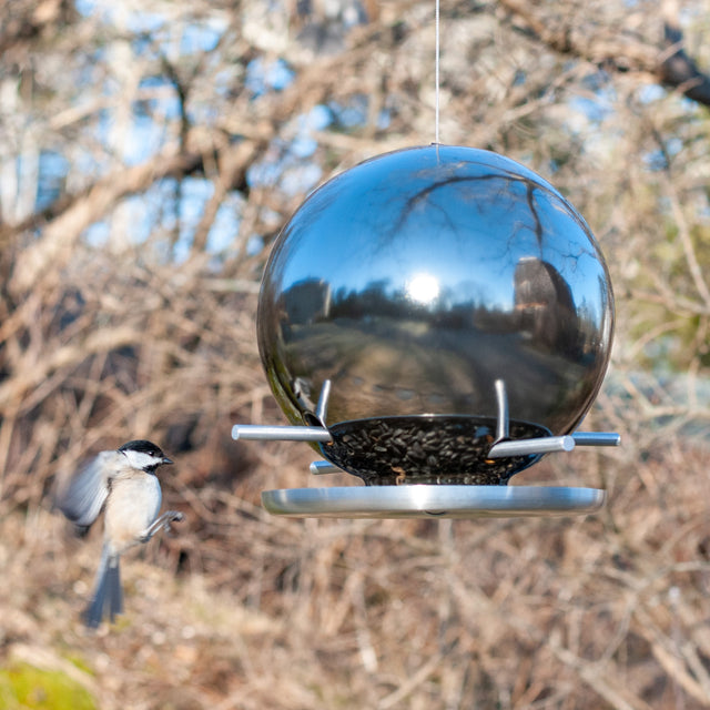 Pop Bird Feeders