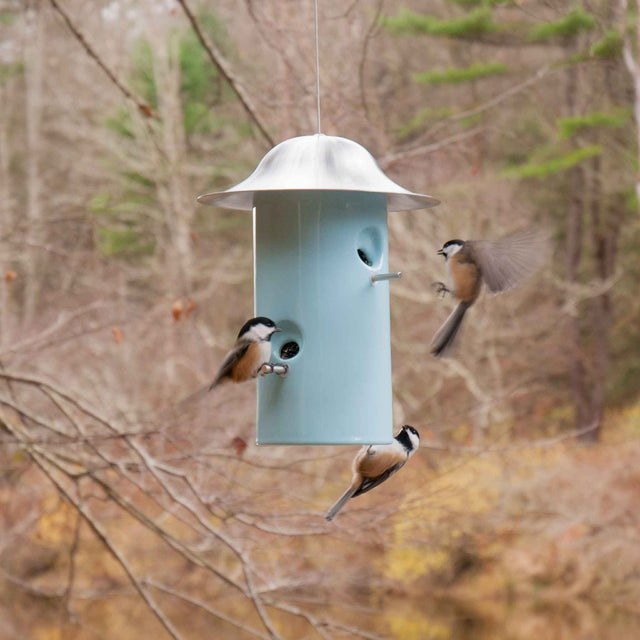 J Schatz Light Aqua Bistro Bird Feeder