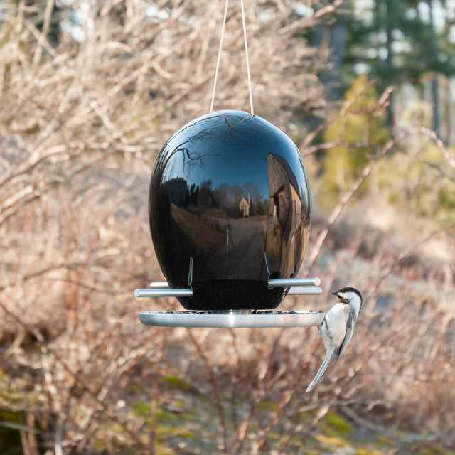Limited Edition Egg Bird Feeders in Pitch Black