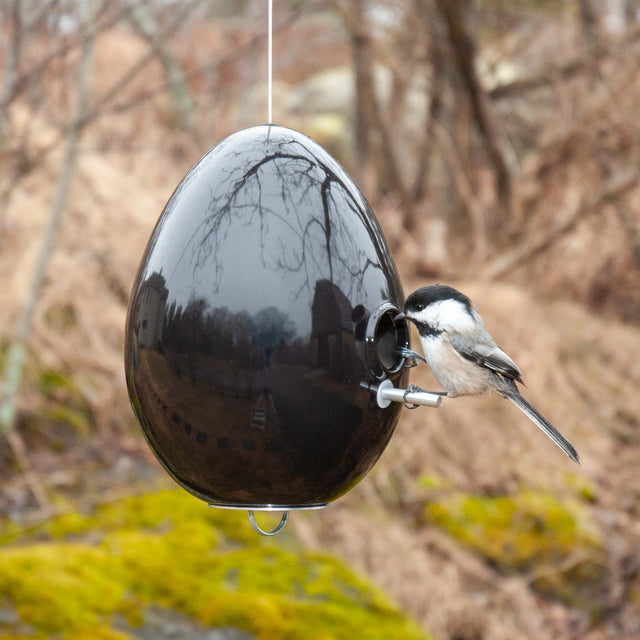 Limited Edition Egg Bird Houses in Pitch Black
