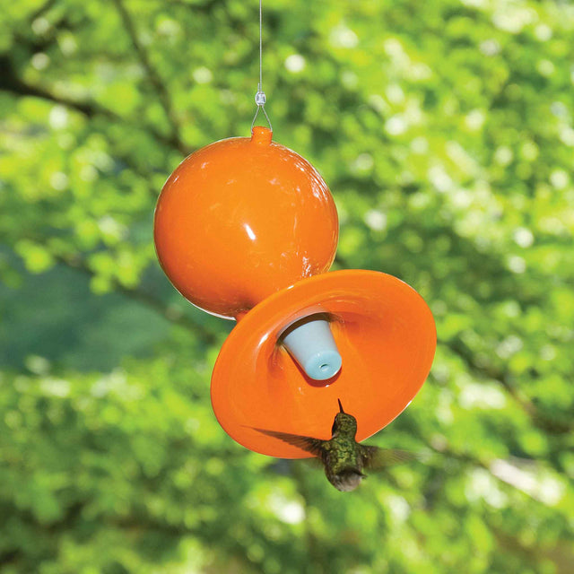 J Schatz Hummingbird Feeder in Custom Color Orange Peel