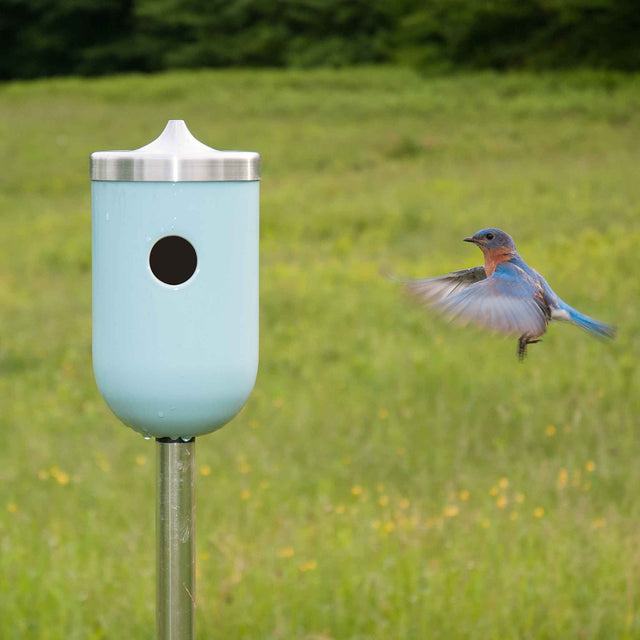 J Schatz Nut Bird House in Light Aqua with Bluebird