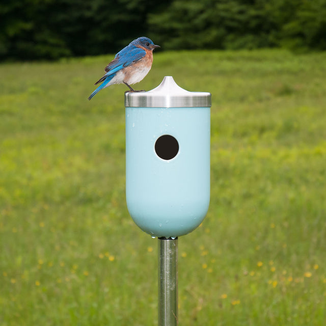 J Schatz Nut Bird House in Light Aqua with Bluebird