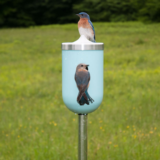 J Schatz Nut Bird House in Light Aqua with Bluebirds