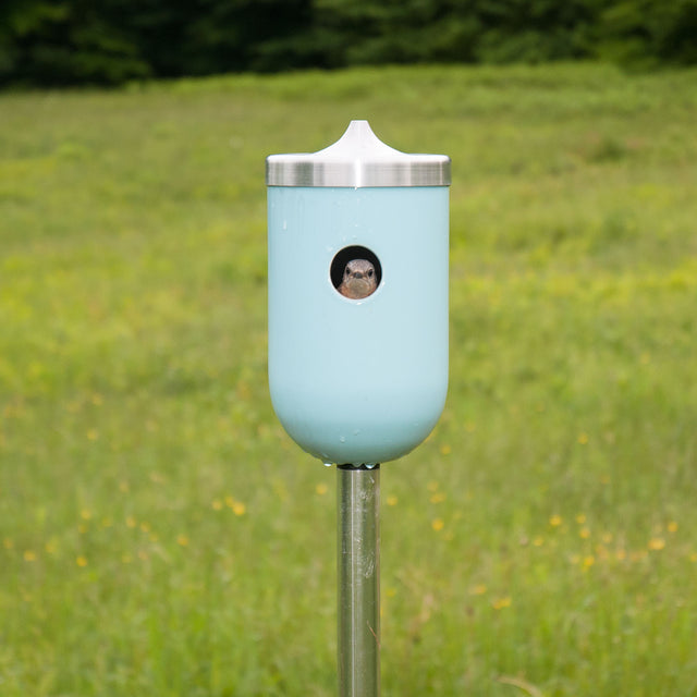 J Schatz Nut Bird House in Light Aqua with Bluebird