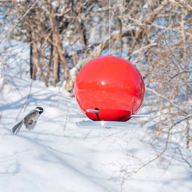 Pop Bird Feeders