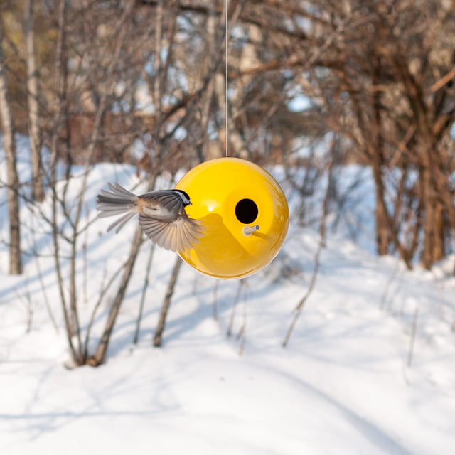 Pop Bird Houses