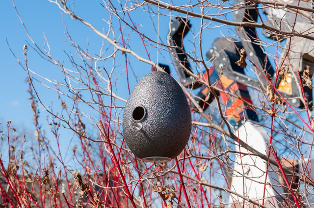 Take Me Home: The First Exhibition