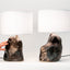 Metallic Black Amorphous Lamp Pair