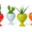 Limited Edition Planters