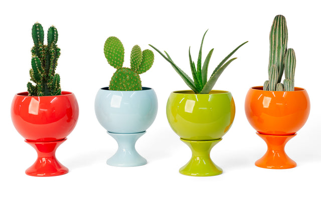 Limited Edition Planters
