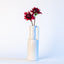 Rectangular Handle Vessels