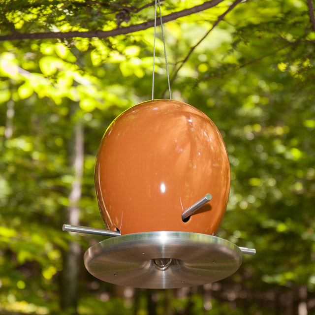 Egg Bird Feeders - Custom Colors