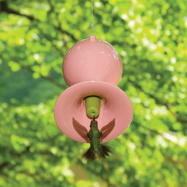 J Schatz Hummingbird Feeder in Custom Color Pink