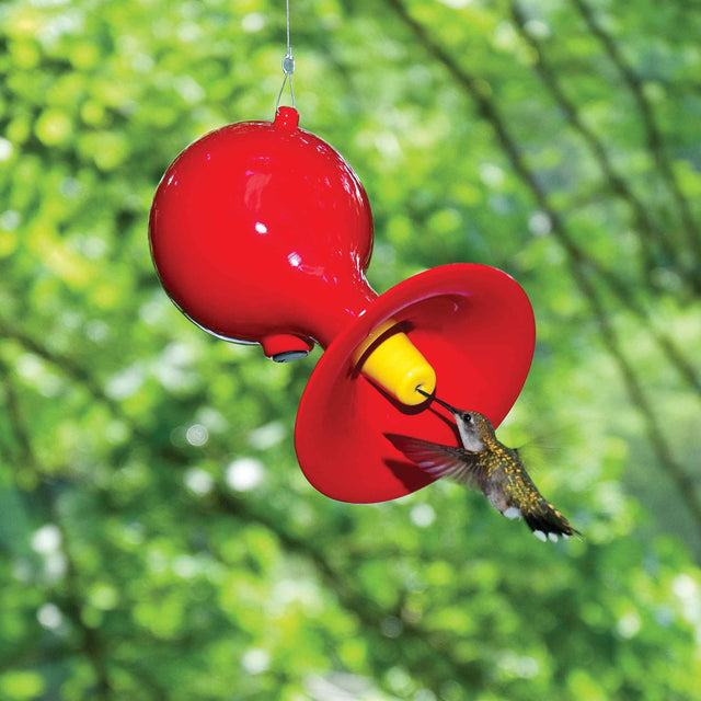 J Schatz Red Hot Hummingbird Feeder in Nature