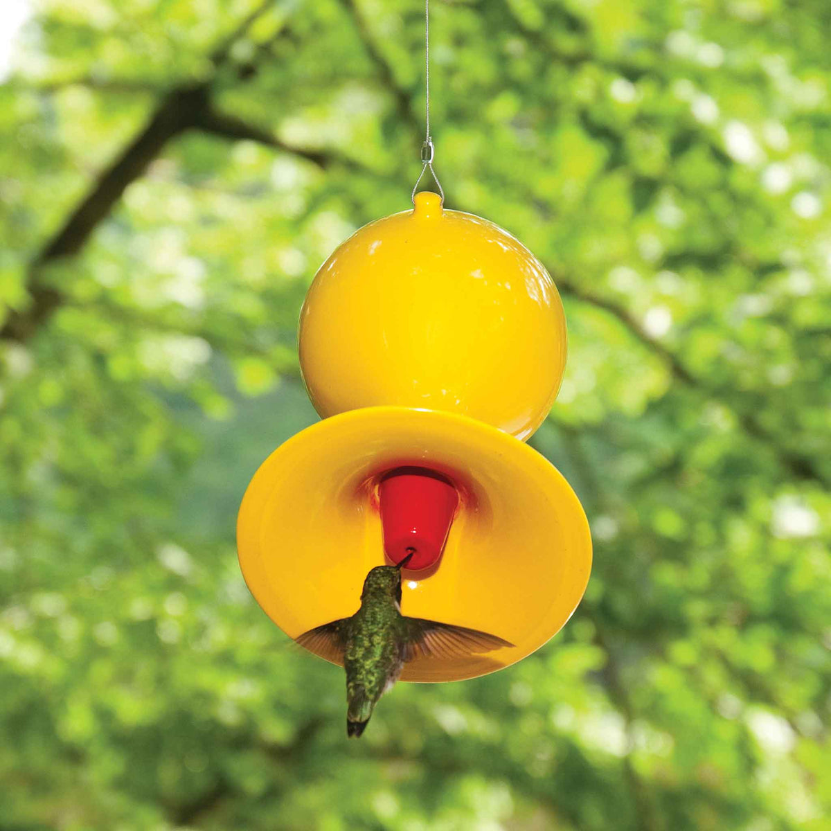 Custom color ceramic hummingbird feeder — made to order | J Schatz