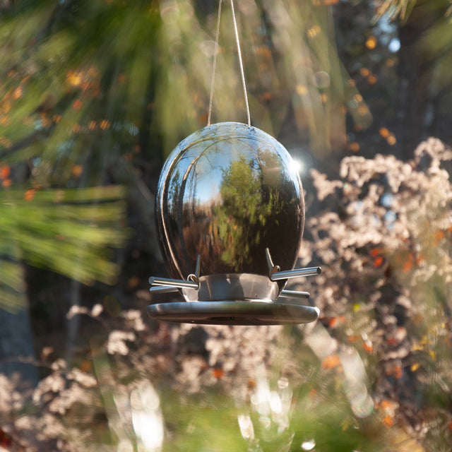 Egg Bird Feeder in Platinum in Nature