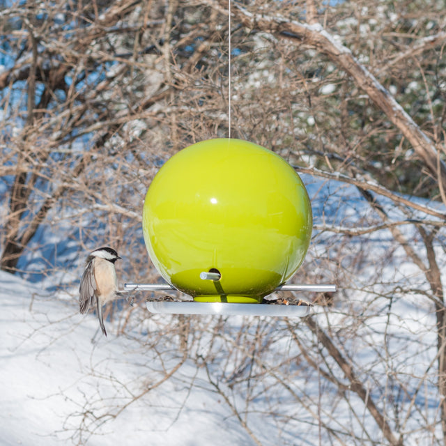 Pop Bird Feeders