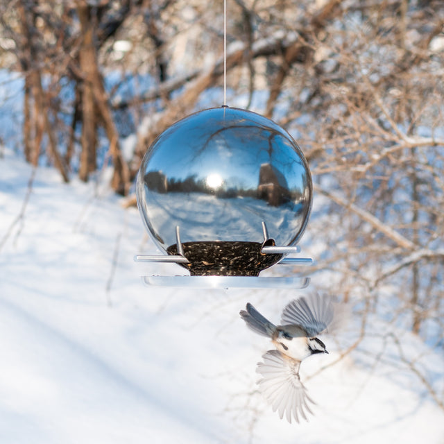 Pop Bird Feeders