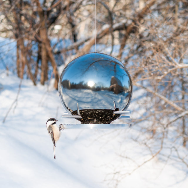 Pop Bird Feeders