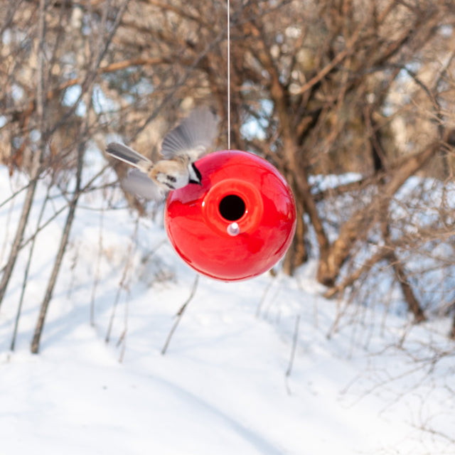 Pop Bird Houses